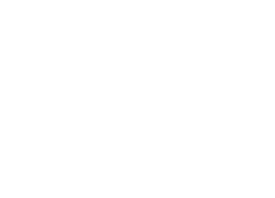 Career plan